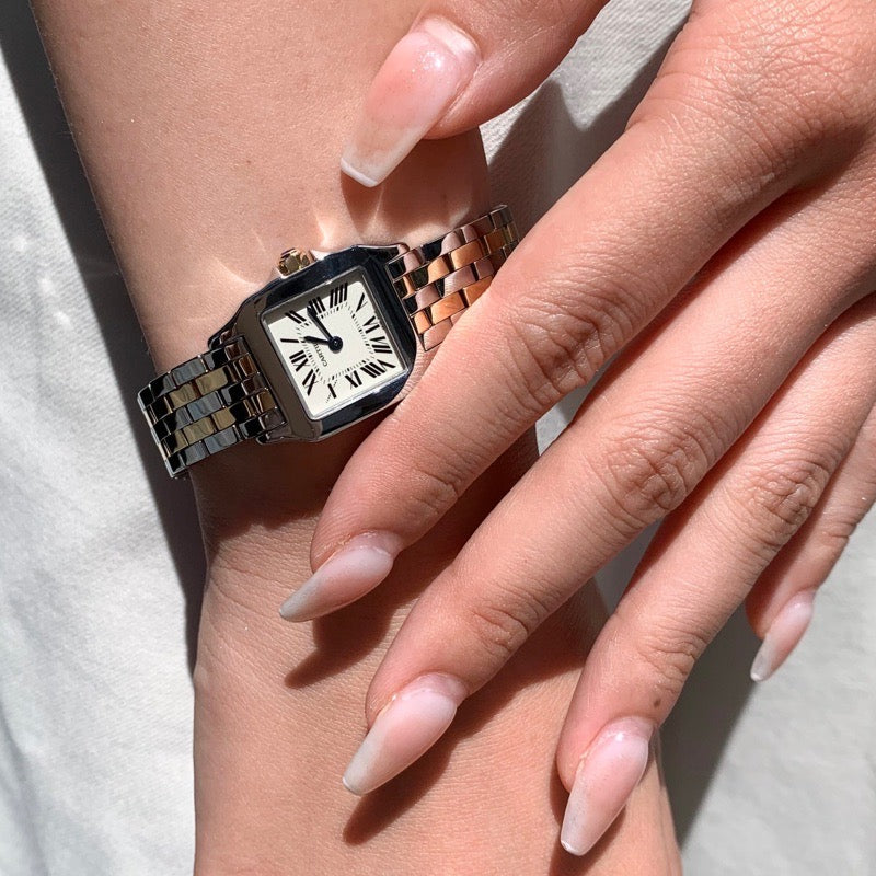 Santos de Cartier SM Combination