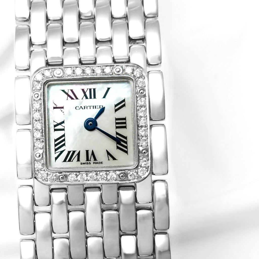 Panther Ruban SS Roman Shell Dial Diamond