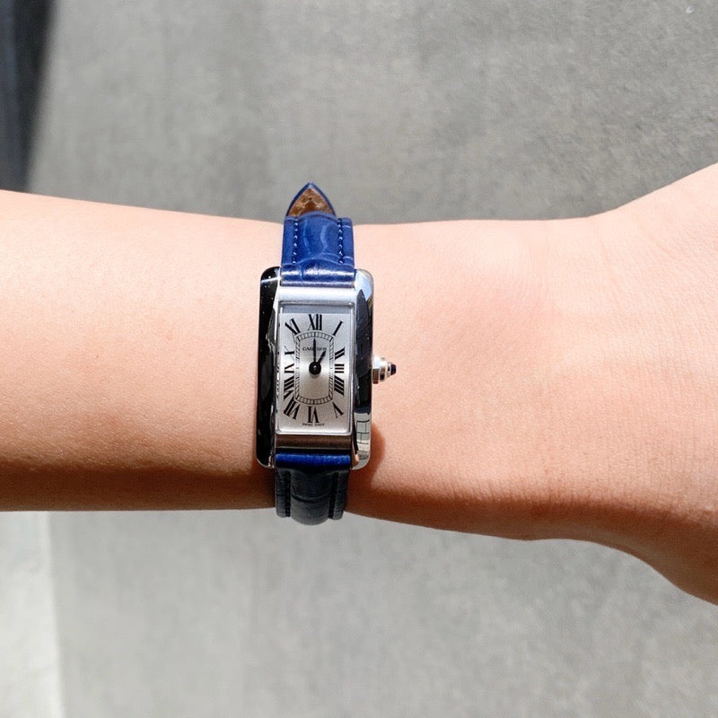 Tank American Mini SS Leather 