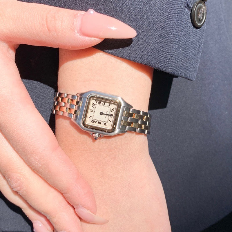 パンテール SM コンビ 2ロウ