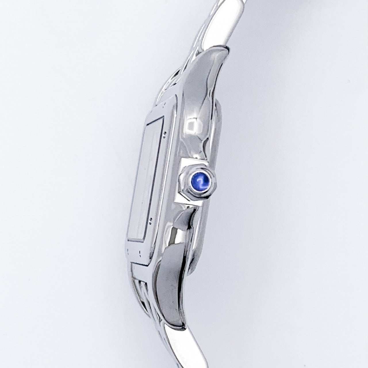 パンテール 現行 SM SS