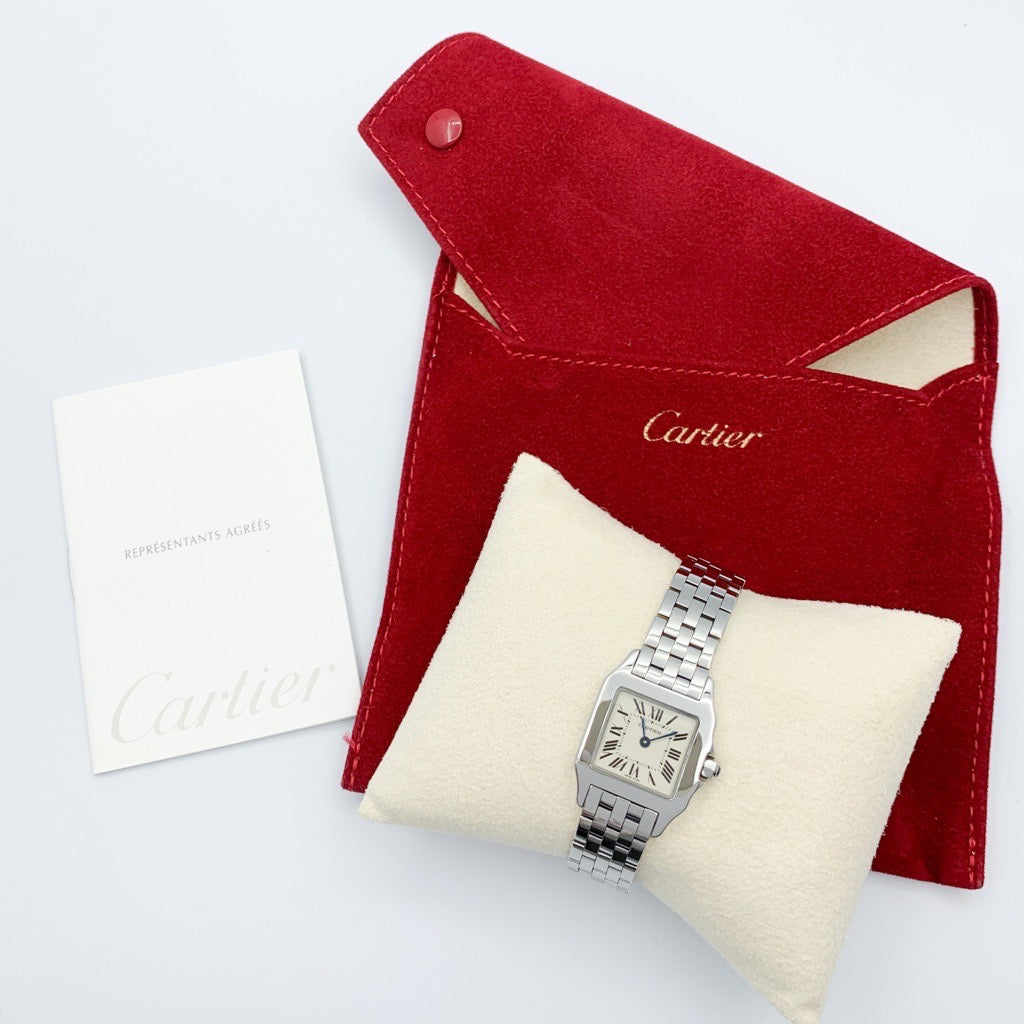 Santos Demoiselle SM SS