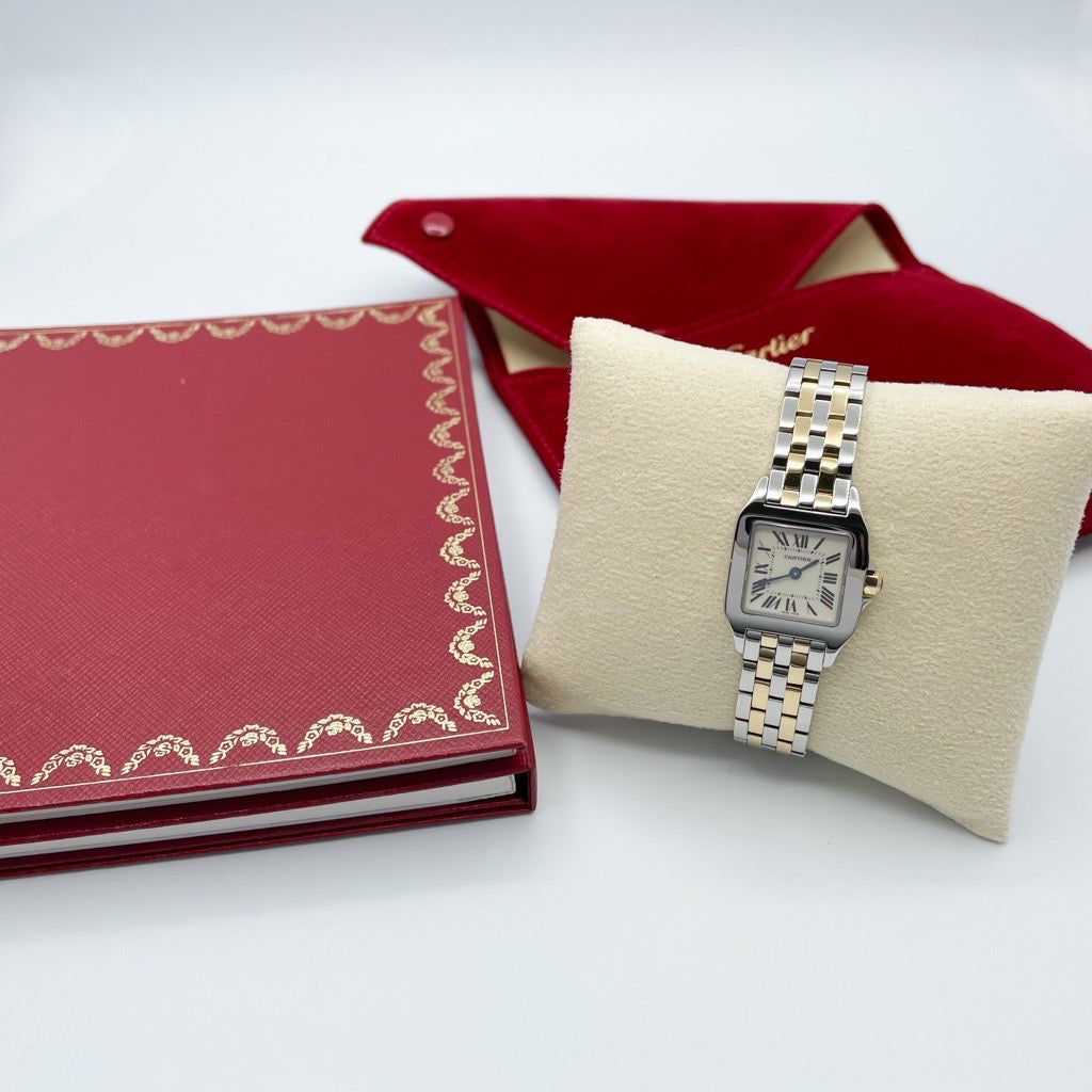 Santos de Cartier SM Combination 