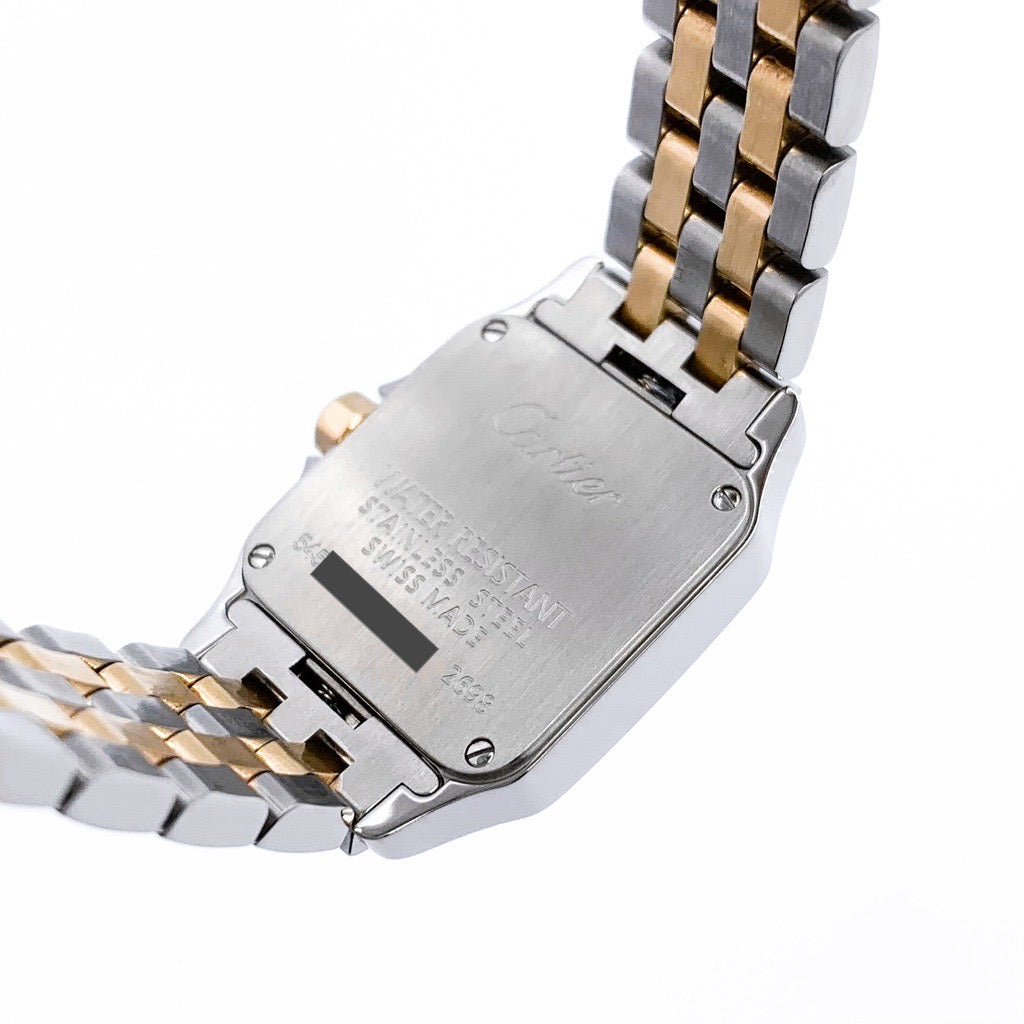 Santos de Cartier SM Combination 