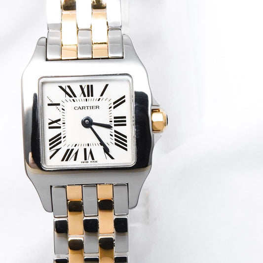 Santos de Cartier SM Combination 