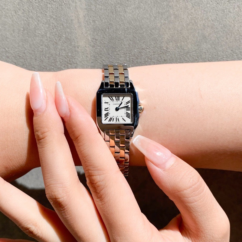 Santos de Cartier SM Combination 