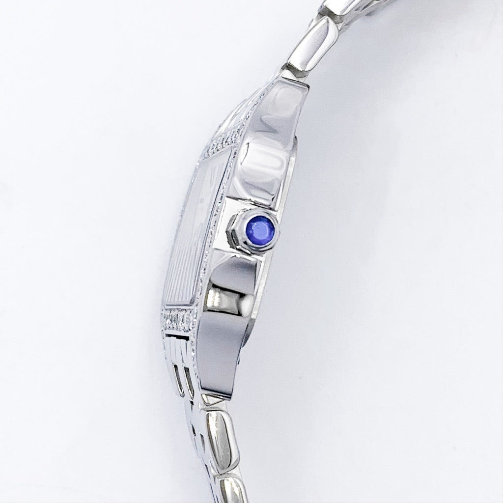Santos de Cartier SM SS Diamond 