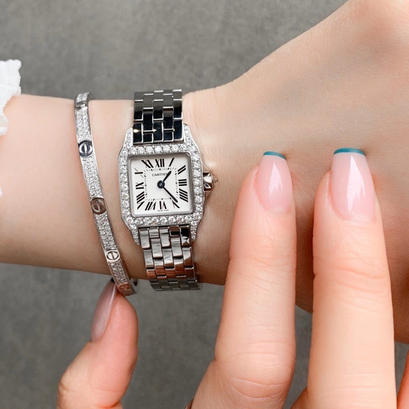 Santos de Cartier SM SS Diamond 