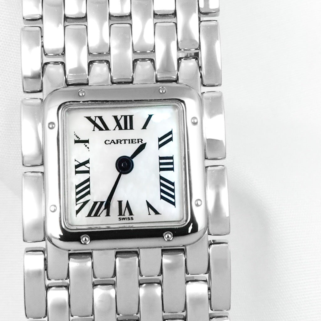 Panther Ruban SS Shell Roman Dial 