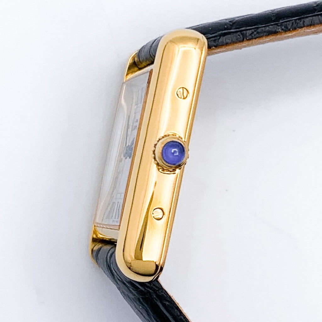 マストタンク MM Xmas限定モデル アクアリーノ文字盤 ゴールド