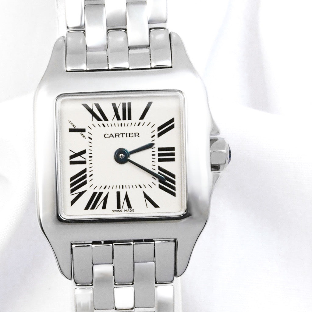 Santos Demoiselle SM SS