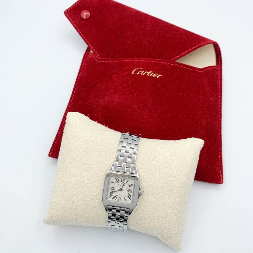 Santos Demoiselle SM SS