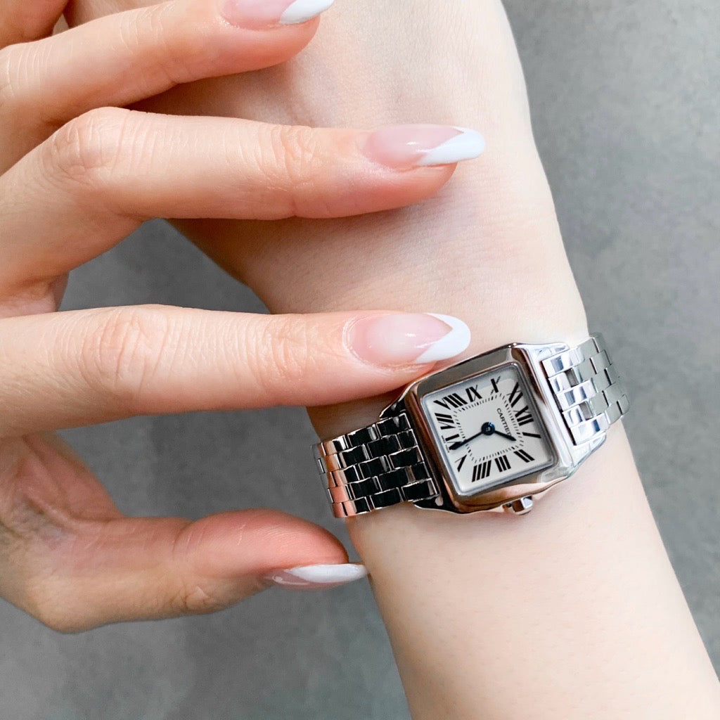 Santos Demoiselle SM SS