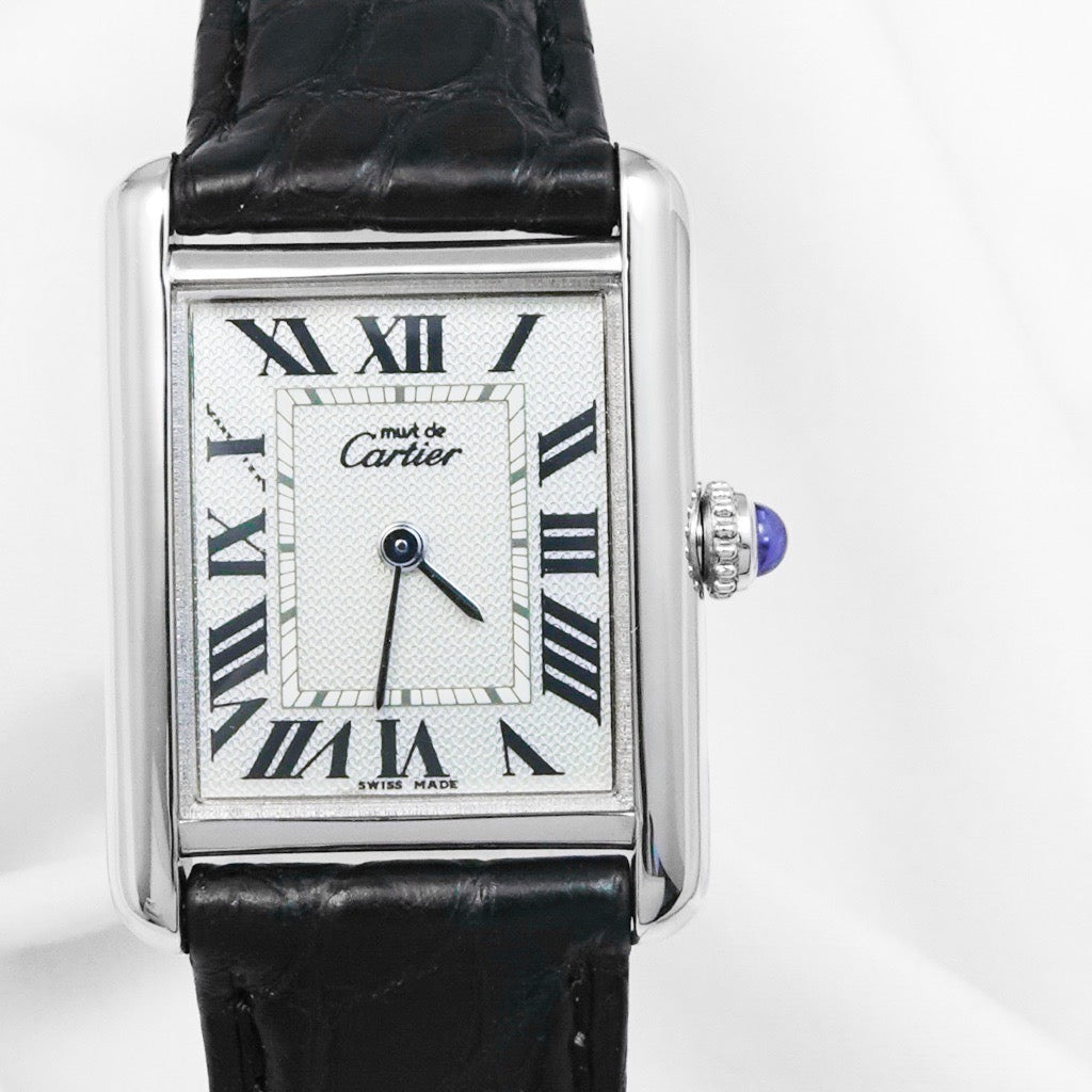 マストタンク MM アクアリーノ文字盤 シルバー