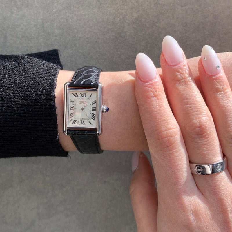 マストタンク MM アクアリーノ文字盤 シルバー