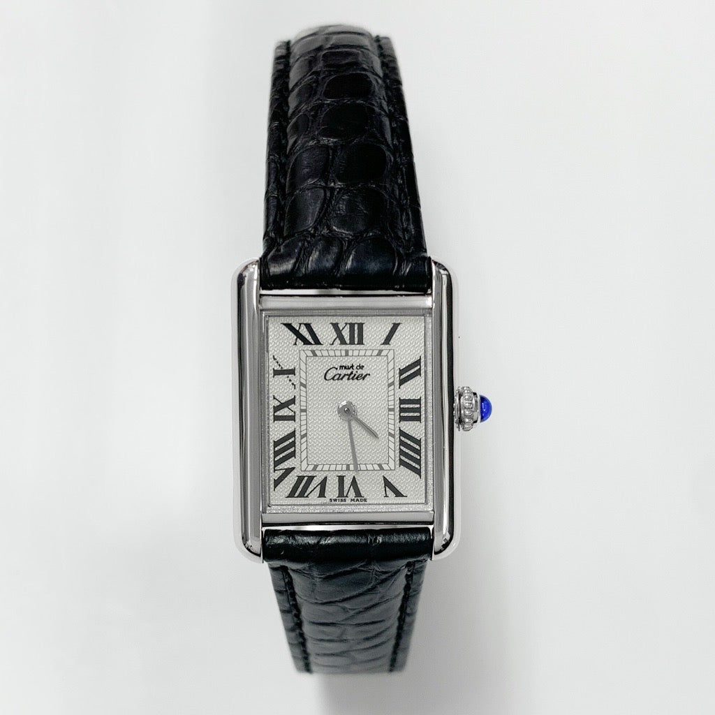 マストタンク MM アクアリーノ文字盤 シルバー