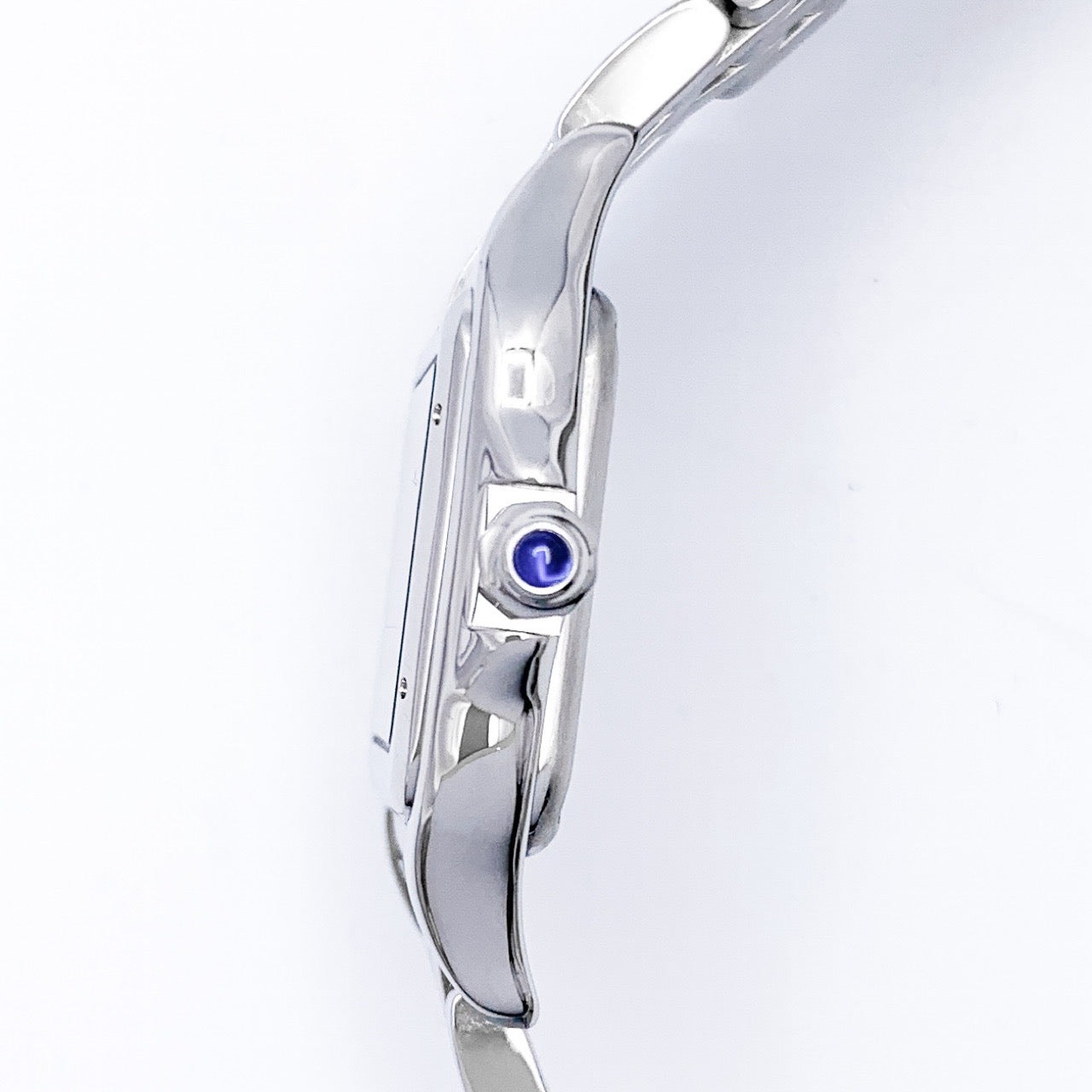 Panther 当前 SM SS