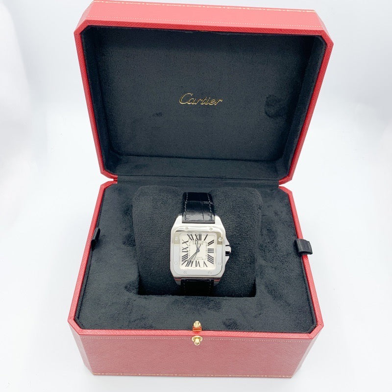 桑托斯100中号