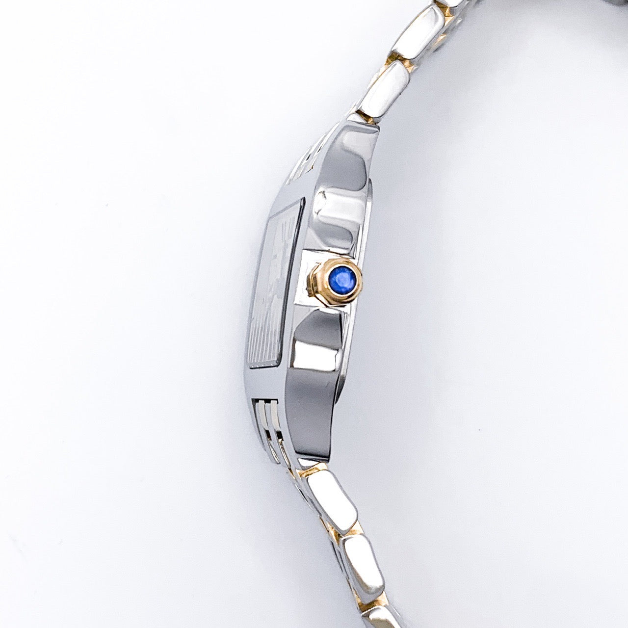 Santos de Cartier SM Combination 