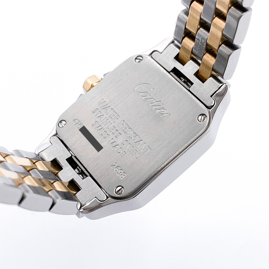 Santos de Cartier SM Combination 