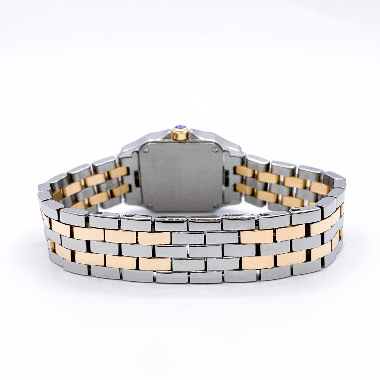 Santos de Cartier SM Combination 