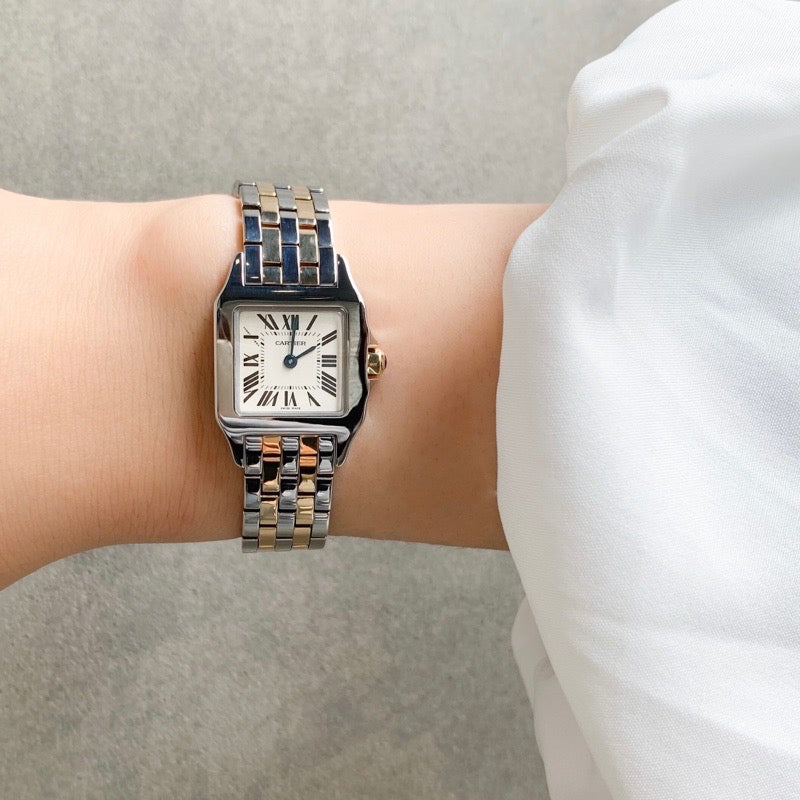 Santos de Cartier SM Combination 