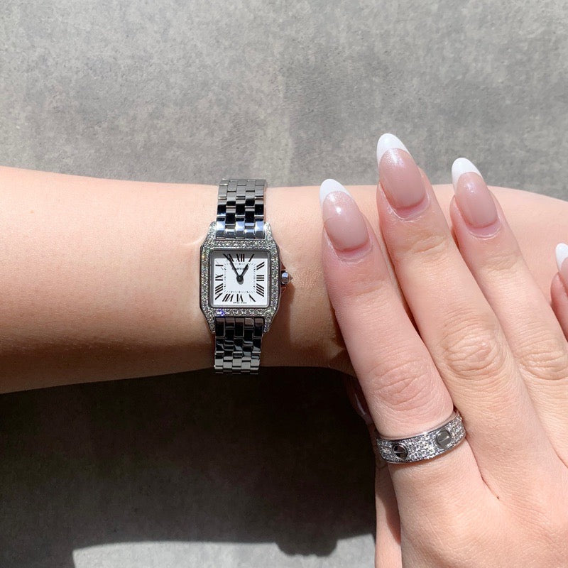 Santos de Cartier SM SS Diamond 