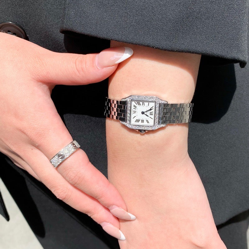 Santos de Cartier SM SS Diamond 
