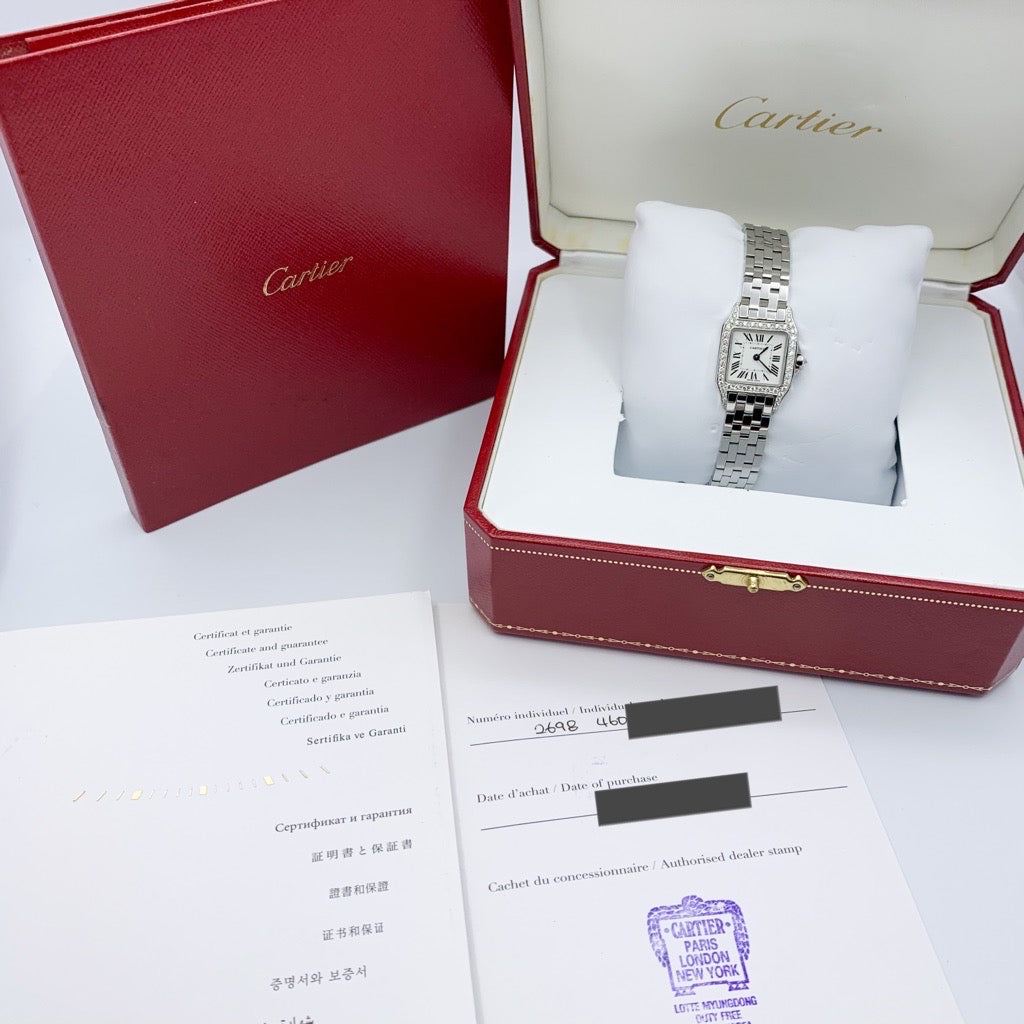Santos de Cartier SM SS Diamond 