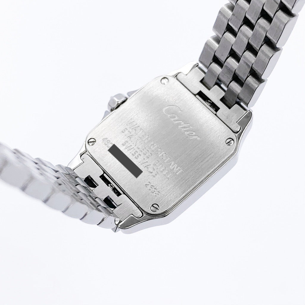 Santos de Cartier SM SS Diamond 